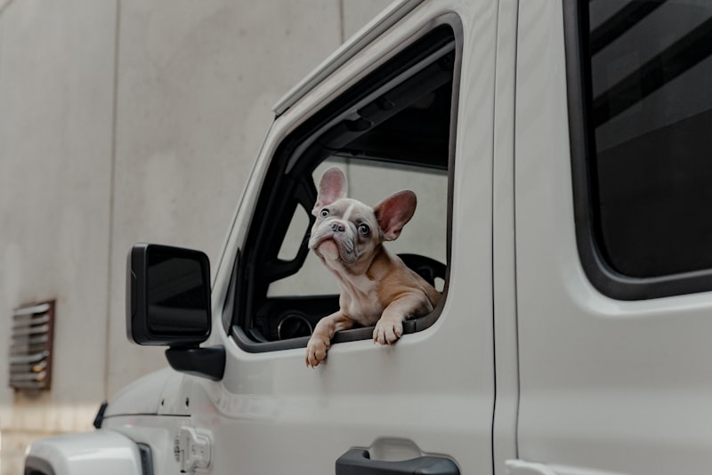 International Relocation