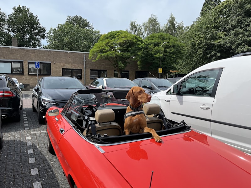 Local Pet Taxi